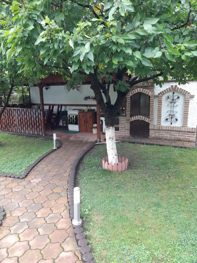 Villa Casa Ioana Haţeg Exterior foto